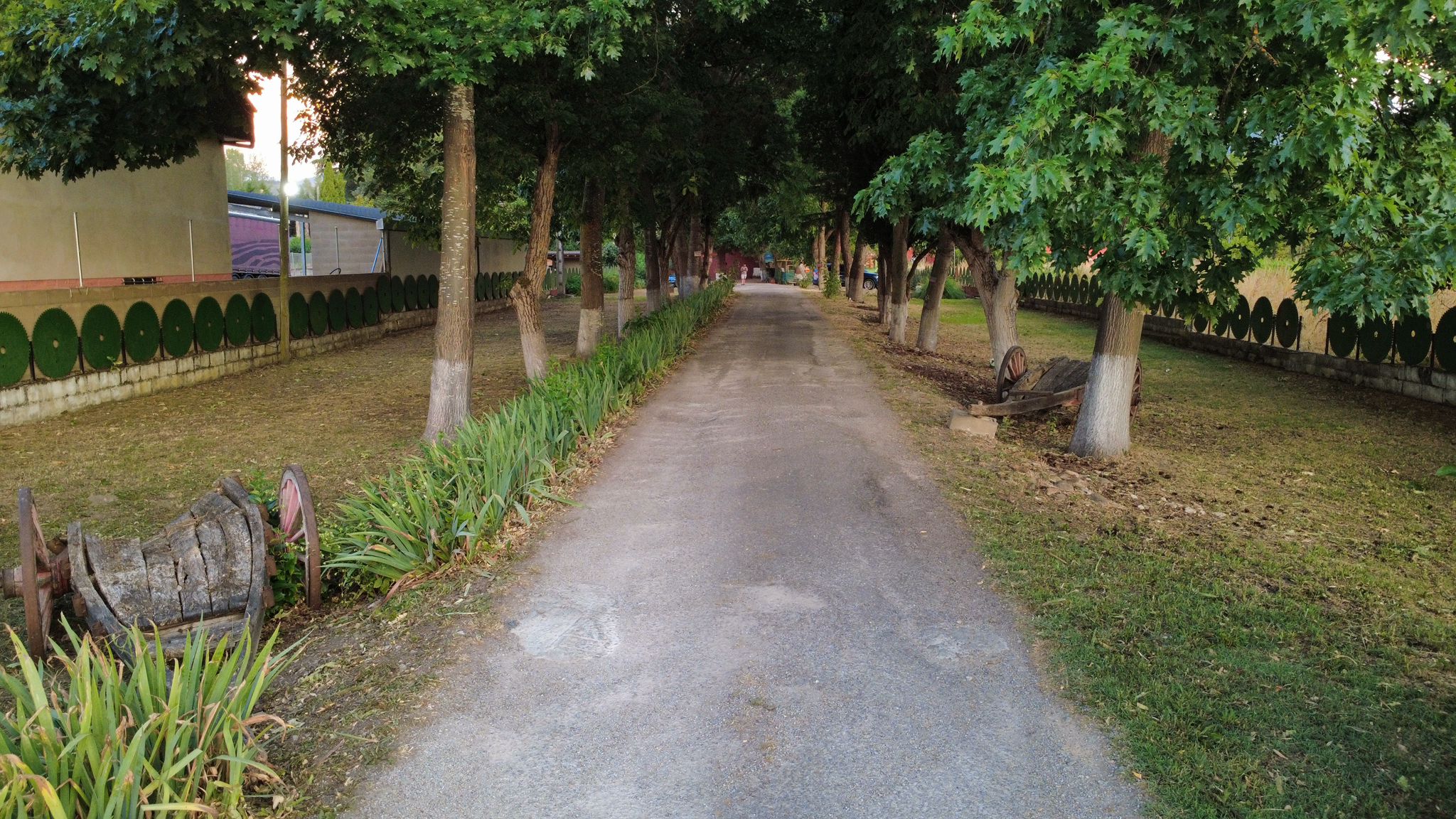 WhatsApp Image 2025-07-05 at 16.32.41